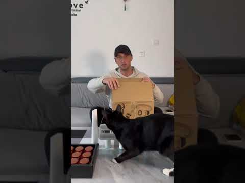 Юмористическая распаковка вакуумного очистителя для кота — кадр из видео